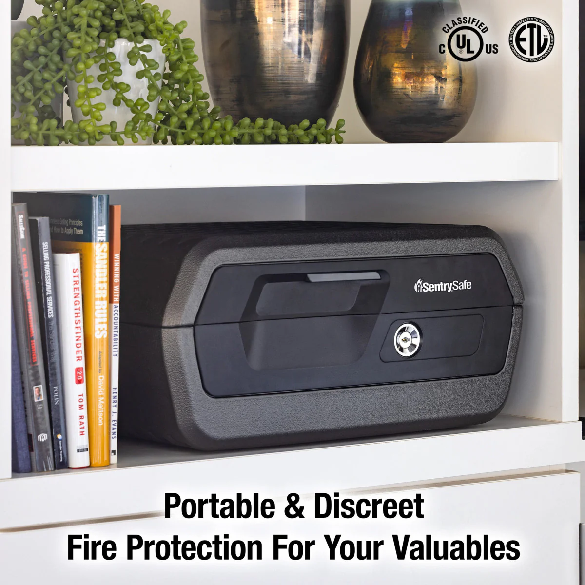 Fire/Water Chest - Image 7