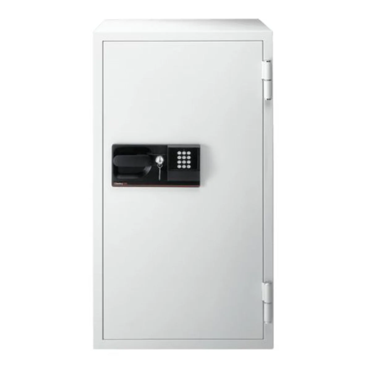 Business Fire Safe - Digital