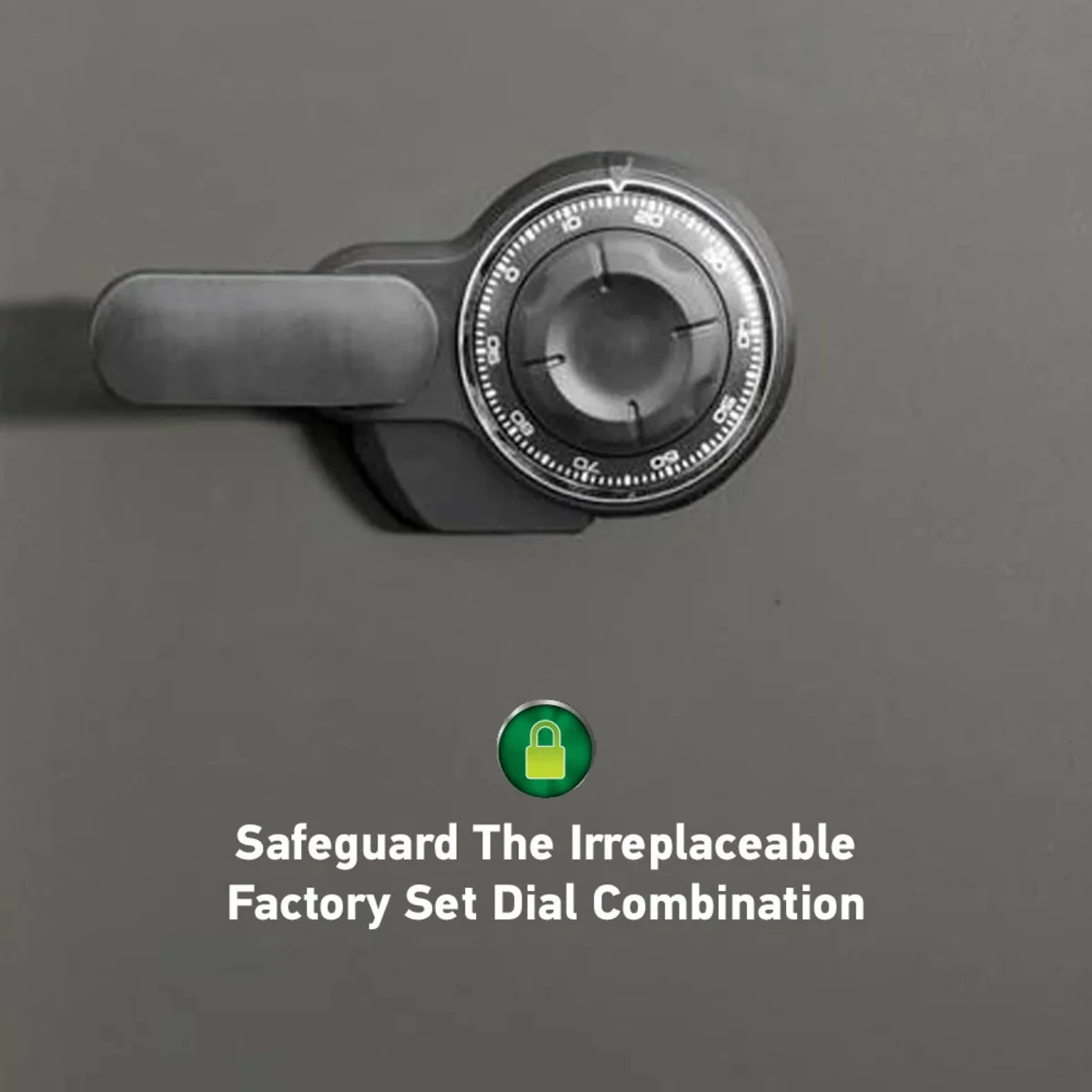 Combination Fire Safe - Image 6